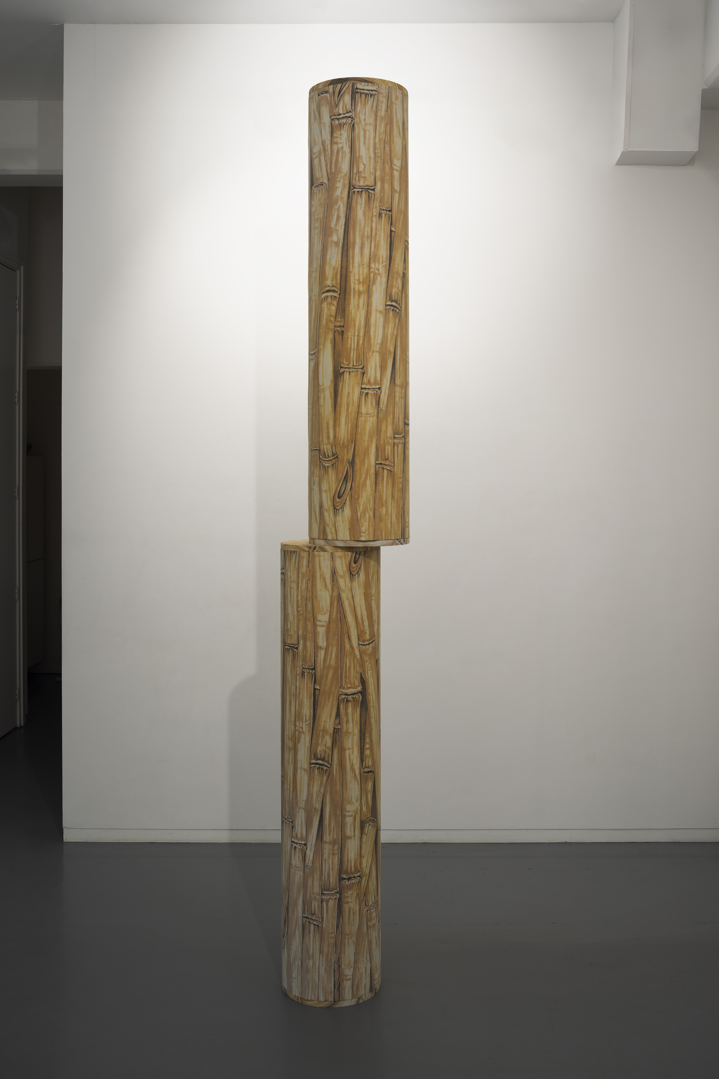 bush-cage_24012-31_edit