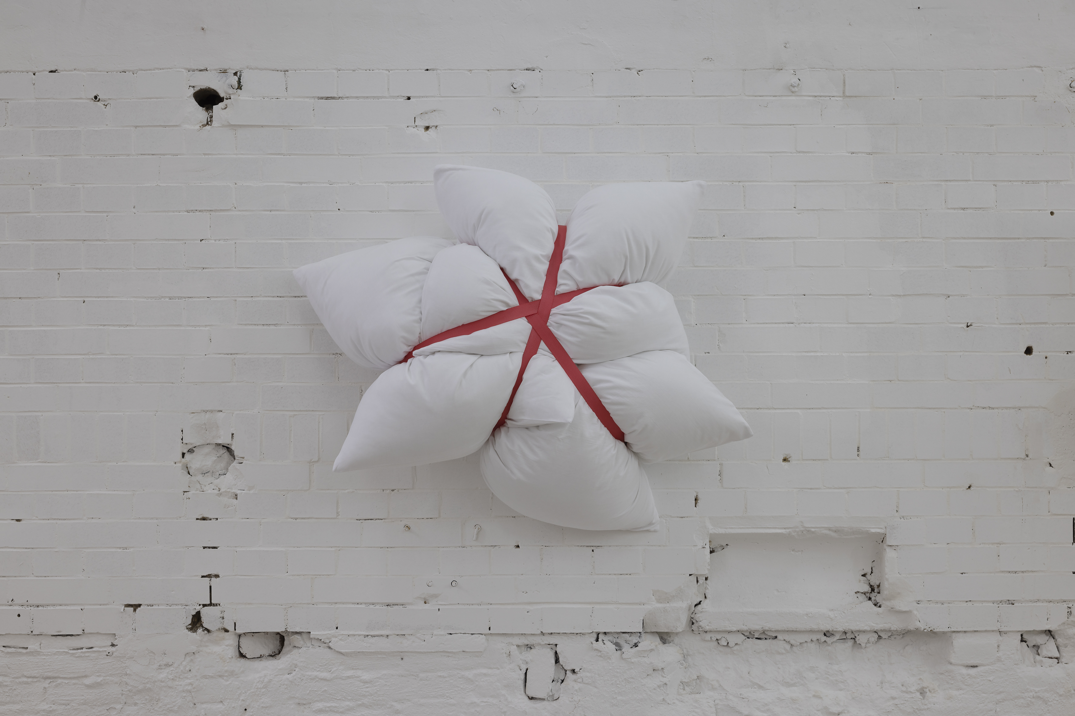 02_proxy-perplexity-red-full-stop_22037-71