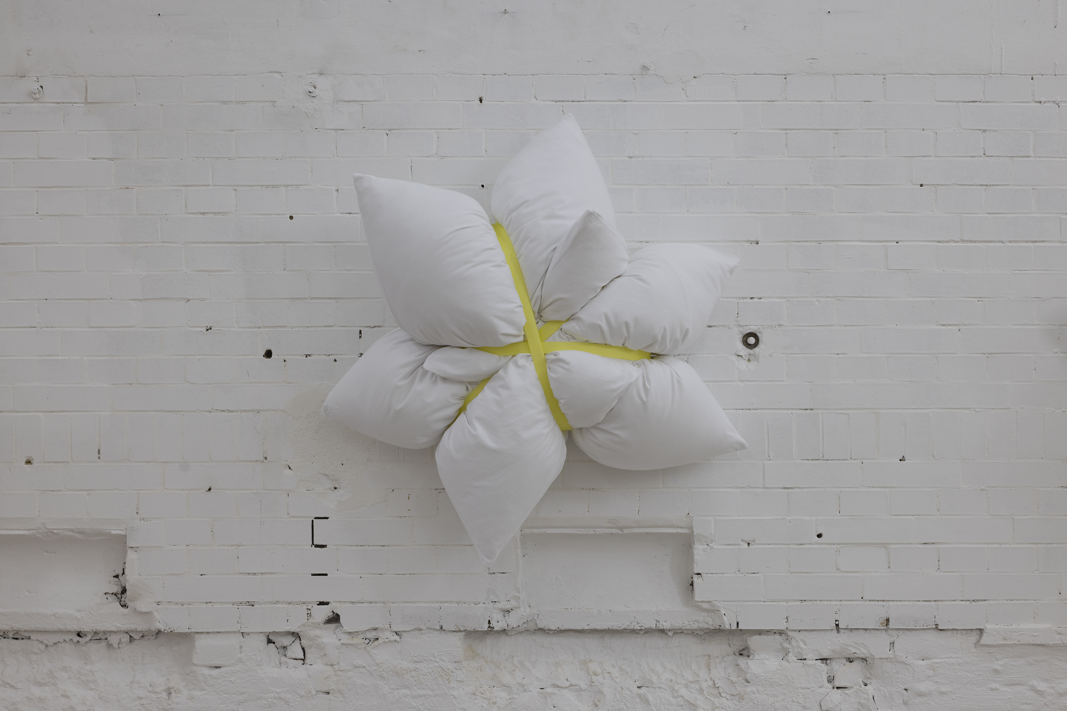 03_proxy-perplexity-yellow-full-stop_22037-64