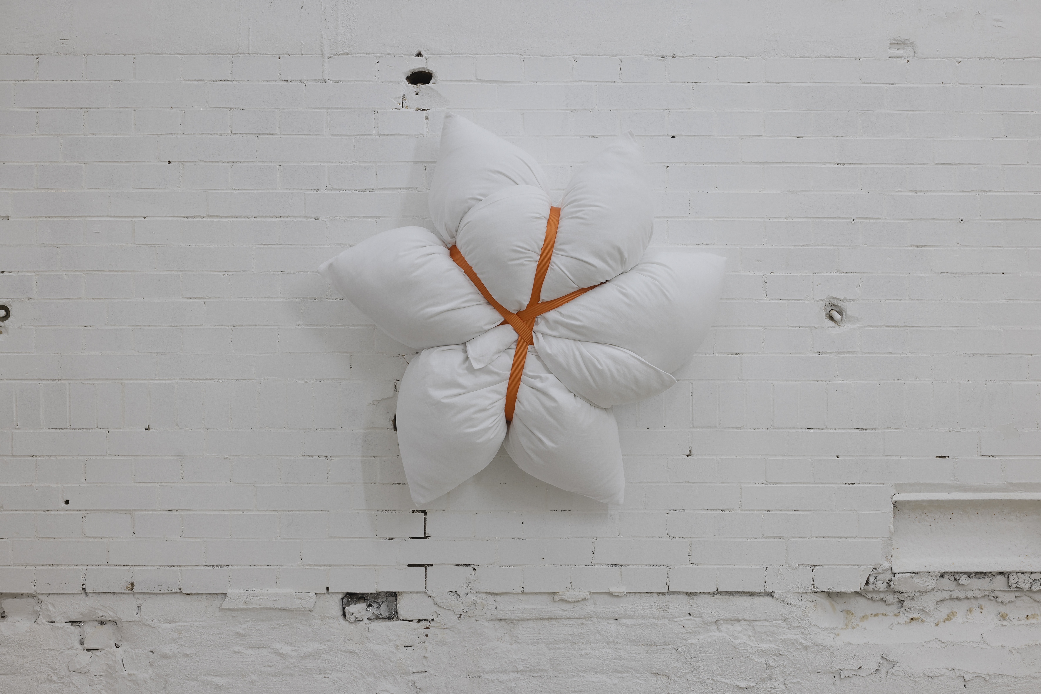 04_proxy-perplexity-orange-full-stop_22037-63